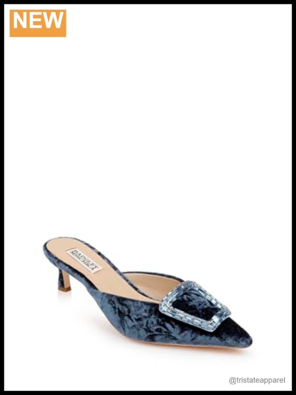Badgley Mischka Abigayl Pointed Toe Mules Silk Leather Lining Dress Mules